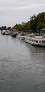 Mehrere weiße Ausflugsschiffe liegen am bewaldeten Flussufer vor Anker.