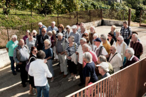 Reiseleiterin erklärt der Gruppe den Weinanbau
