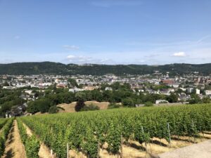 Noch ein Blick vom Petrisberg