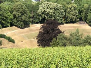 Noch ein Blick auf das Amphitheater