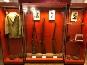 Die umfangreiche Sammlung