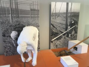 Figur einer gebückten Arbeiterin vor historischen Fotografien der Handarbeit im Hopfenfeld