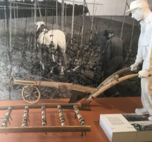 Hölzerner Einschar-Pflug und Egge als Beispiele für die Bodenbearbeitung vor der Mechanisierung