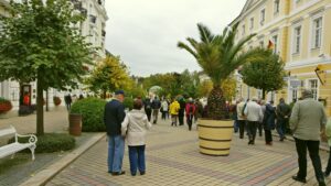 Spaziergang auf einer schattigen Promenade