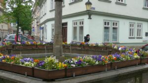 Eine bepflanzte Brunnenanlage in der Innenstadt