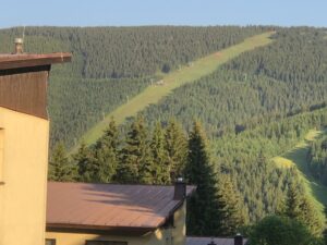 Freigeschnittene Pistenschneise inmitten dichter Fichtenwälder