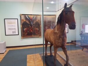 Ausgestopftes Pferd im Museum