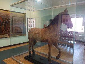 Drittes Pferde-Exponat im Museum