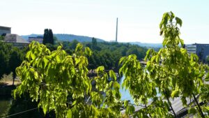 Blick auf die Saar