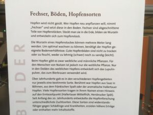 Erläuterungen zu Vermehrung, Standortansprüchen und Sortenvielfalt des Hopfens