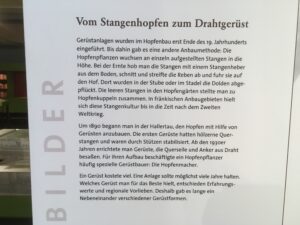 Von der Einzelstange zum modernen Drahtgerüst im Hopfenanbau