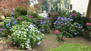 Noch ein Blick in den Park