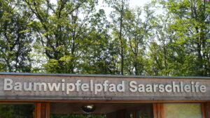Weiter auf dem Baumwipfelpfad