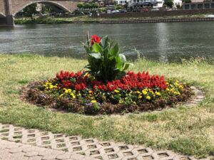 Blick auf die Mosel bei Cochem