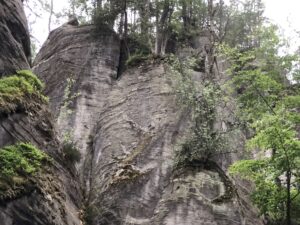 Zerklüftete Felsformation mit Baumbewuchs in den Spalten