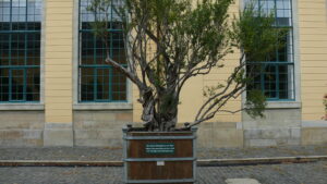 In den Herrenhäuser Gärten