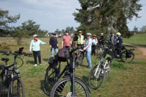 Rast auf der offenen Heide- und Wiesenfläche