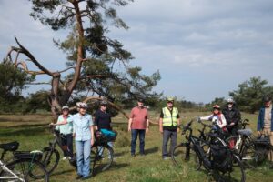 Pause bei der markanten alten Kiefer
