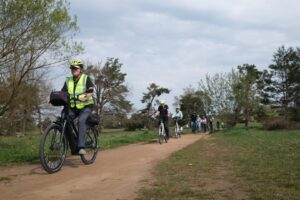 Auf dem Sandweg durch die Heide