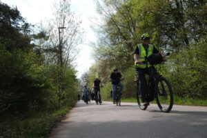 Fahrt durch den grünen Wald-Tunnel