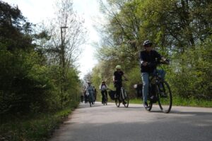 Noch eine Perspektive der Fahrt im Grünen