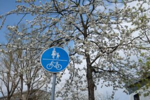 Kirschblüte an einem Rad- und Fusswegschild