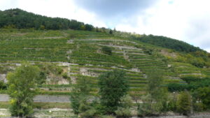 Die malerische Wachau