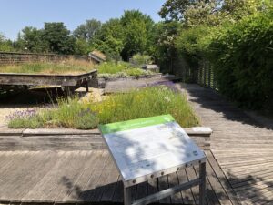 Ein naturnaher Garten