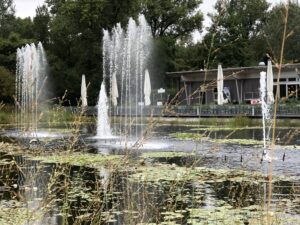 Die Brunnenshow in Tulln