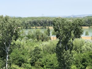 Noch mehr Turmblick
