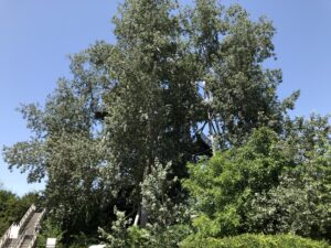 Kunstvolle Gestaltung in Tulln