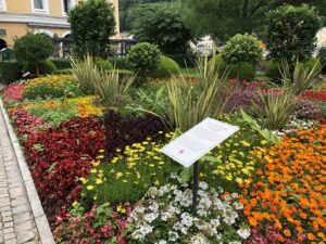 Blühende Pracht im Tencalla-Garten
