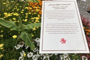 Noch mehr Tencalla-Garten
